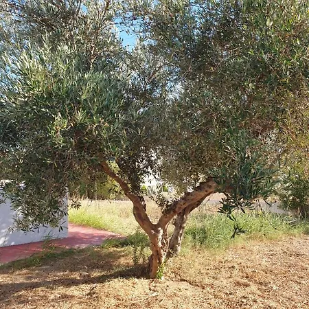 شقة Kos Harmony