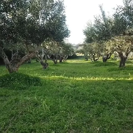 Kos Harmony *