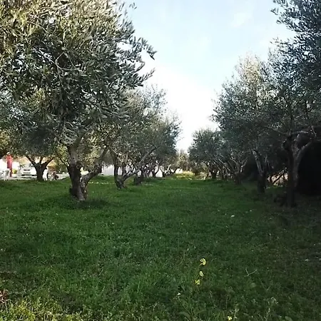 Kos Harmony *
